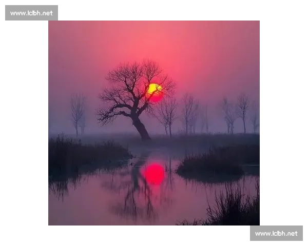 风没有方向的吹来带着往事的痕迹和岁月的温柔散落在记忆深处